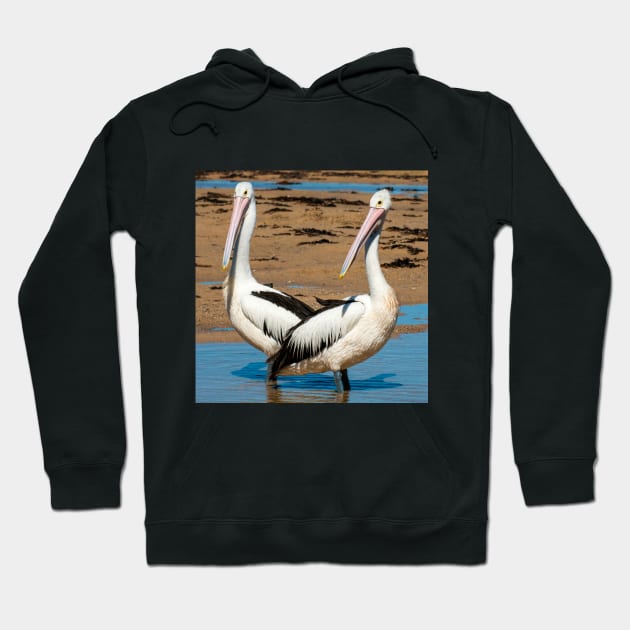 Australian Pelicans Hoodie by Upbeat Traveler